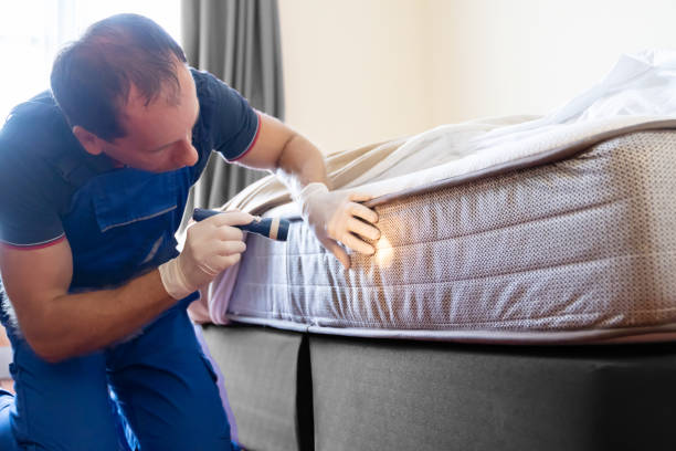 Best Bed Bug Extermination  in Inverness Highlands South, FL